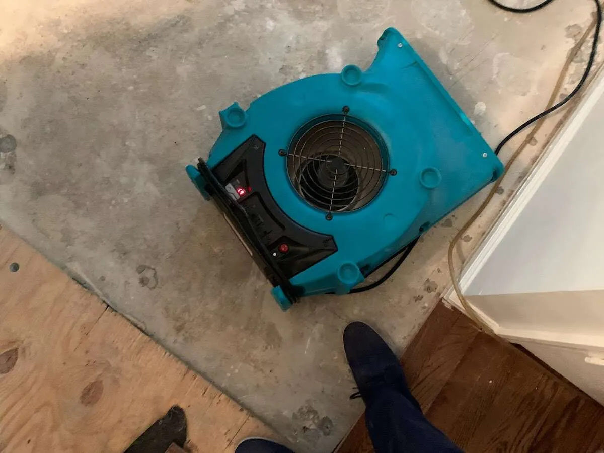 Air mover drying subfloor during Leak Detection & Repair in Montevideo